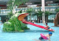 カエルの水のスライド子供のプールのプールの遊び場